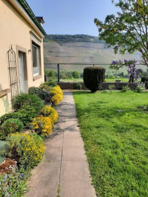 Ferienwohnung Gartenblick